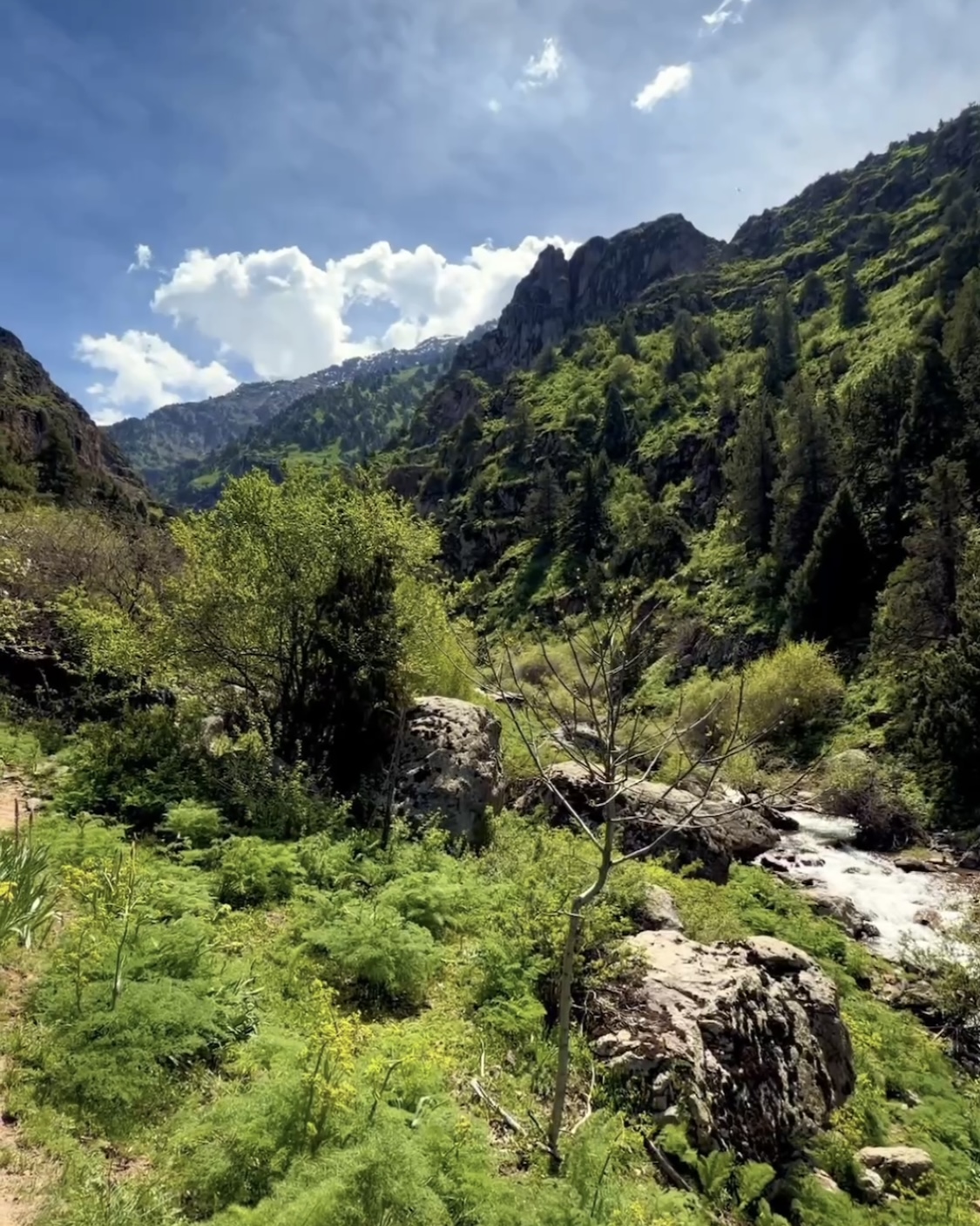Lashkerak Forest & Waterfall